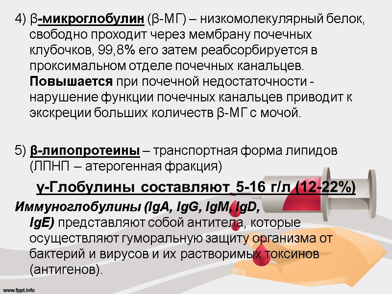 4) β-микроглобулин (β-МГ) – низкомолекулярный белок, свободно проходит через мембрану почечных клубочков, 99,8% его